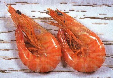 ��łĐ^���ԂɂȂ����N���}�G�r