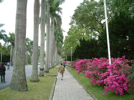 taiwan_20040315-033
