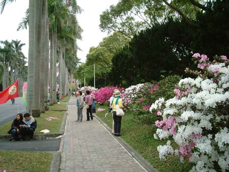 taiwan_20040313-017